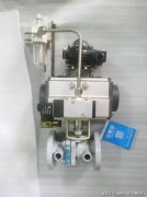 从最初的追随者到如今的引领者之一