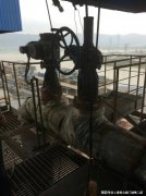 成为近五年市场份额增长最快的头部品牌