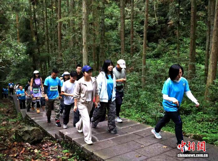 2025张家界国家森林公园鹞子寨登山赛鸣枪开跑，